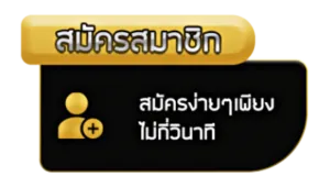 สมัครไว โบนัสกระจาย!